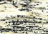 3e180ea095fd26a1f4c5c10c54283320_1754626806_0421.jpg